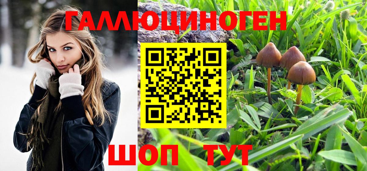 Псилоцибиновые грибы мухоморы  Вход с VPN  Донской 